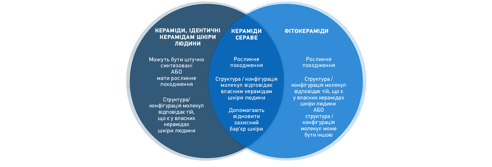 Phytoceramids vs Ceramides 2nd banner_UA